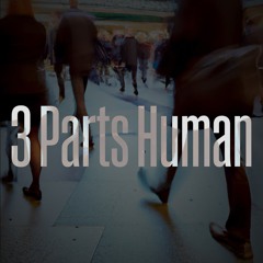 3 Parts Human