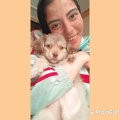 شيرين عرابي