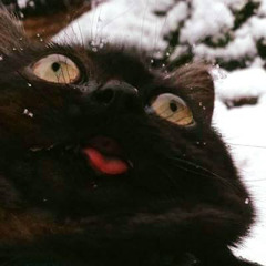FluffWarrior