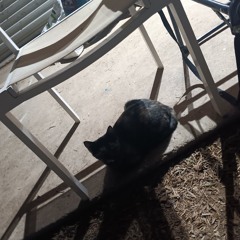 ♡D3c0Mp0sin9M0uS3♡