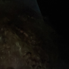 UNXCSITED