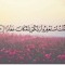 الوردة البيضاء