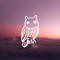 Niteowl