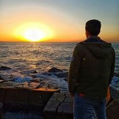 Ahmed Abdel Hamid