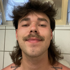 Draculaseinsohn