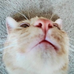 ✿ зима ✿