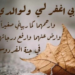 Amr Amr