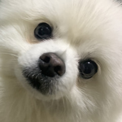 박선우
