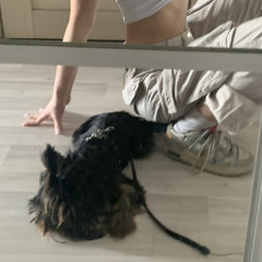 nvvvrtt