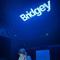 BRIDGEY [UK]