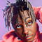 _dangelo