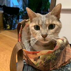 darwin