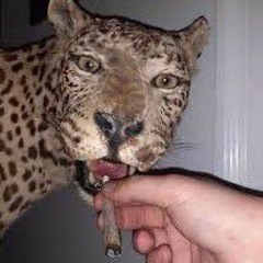 el.Pümā