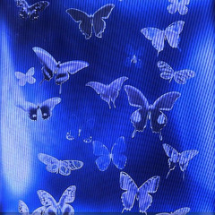 lunaria