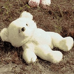 teddybearsonthelawn