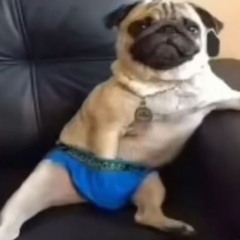 D0ughB0y