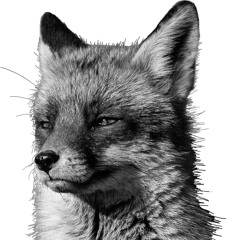 anni