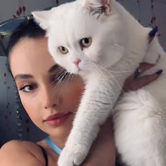 fav