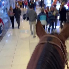 filled for requirement