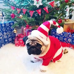 Алексей Навальный