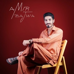 AMIR BAJWA
