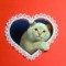 KittenQueen420