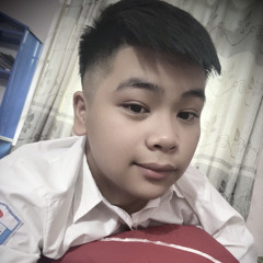 Nguyễn Quang Vinhh