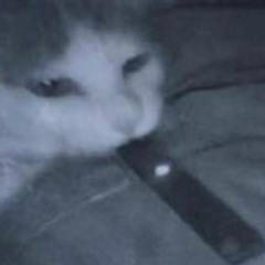 benny