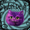 wonder