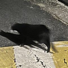 ZOOSOO
