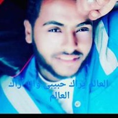 Dina Elsayed