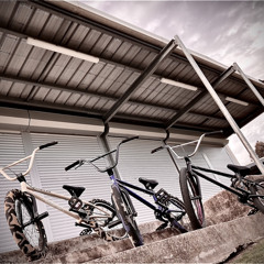 OrganicBMX