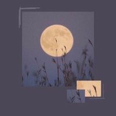 Slsabeel N. Al-qaisi