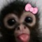 Noor