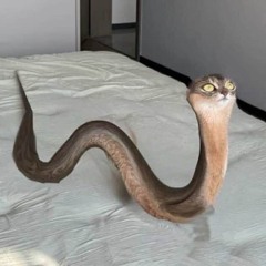 unga bunga
