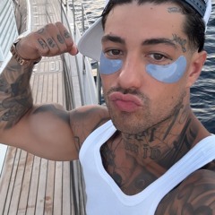 malebot