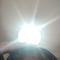 lucas