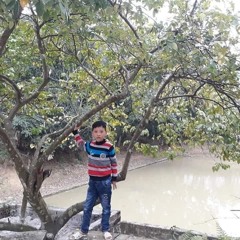 Mduc