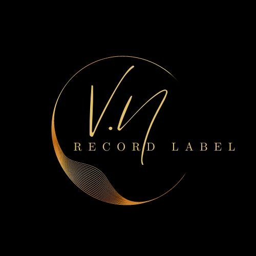 V.N Record’s avatar