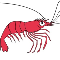 Sonic Shrimp