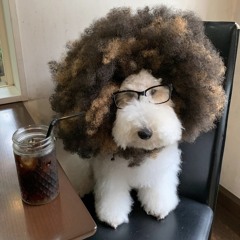 .KiTTY8 (@nnninjakat)