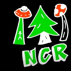 ncr and spider gang archive