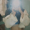 vhtrang_02