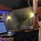 DJ Azee