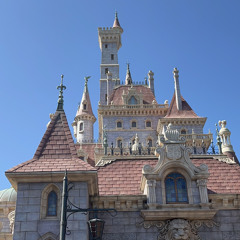 roha mino