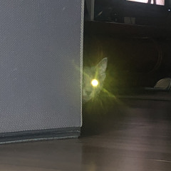 최재환