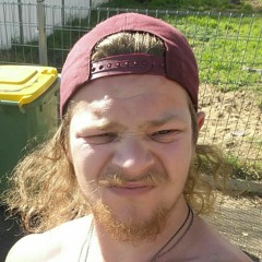 Fitzy