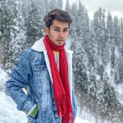 hamza shahid
