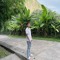 Sone Sai