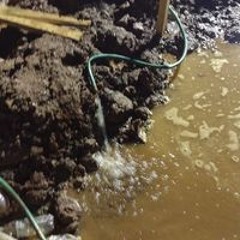 Alacran Alterado Hidalgo